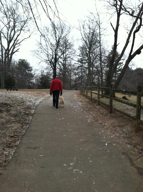 Feb. 5, 2013 | Quiet Day at the Westport Dog Park