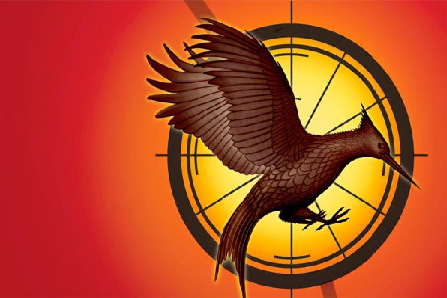This is one of the logos for Catching Fire