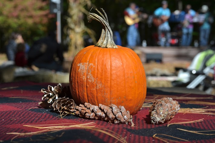 Tables at the festival are topped with classic fall décor including freshly picked pumpkins and pinecones.
