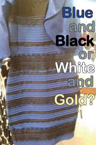 Staples students stir over color perception of a dress