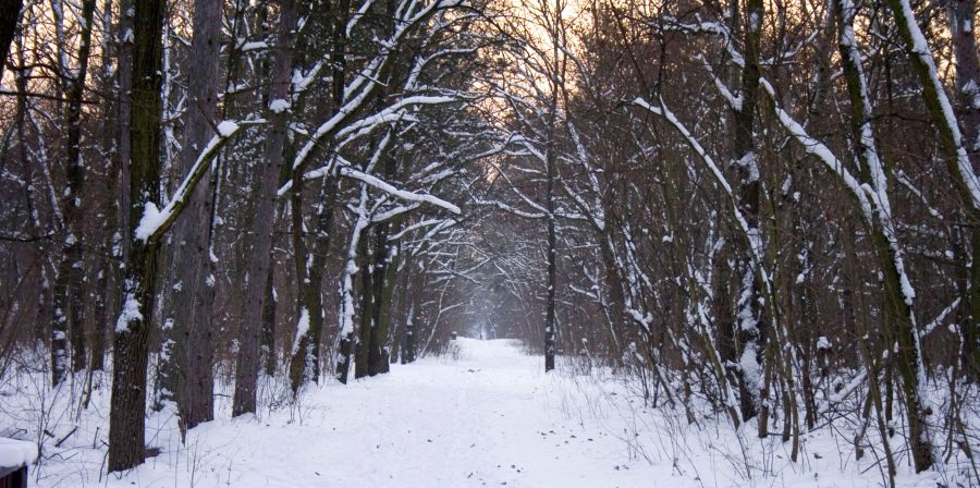 Snow draws locals to beloved winter locations