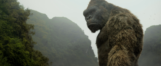 Kong: Skull Island stands tall by committing to its concept