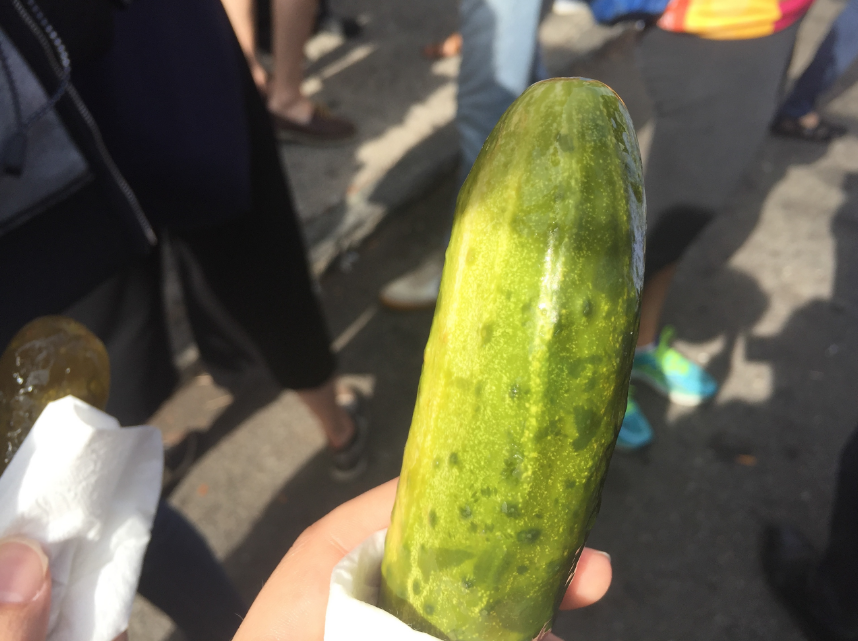 Pickle Day in pictures