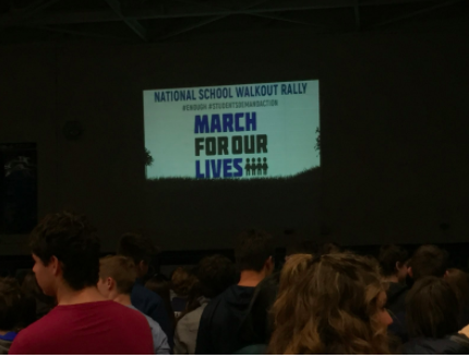 School walkout inspires political activism
