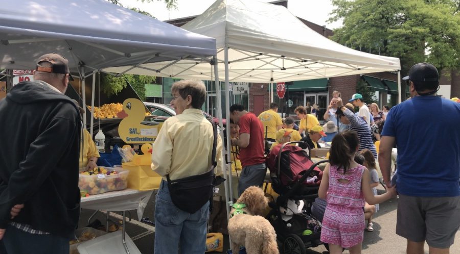 The 11th annual Great Duck Race was held by the Westport Sunrise Rotary at Parker Harding Plaza on Saturday, June 1. All funds raised by the event go to charities such as ABC, the Caroline House and Al’s Angels. 