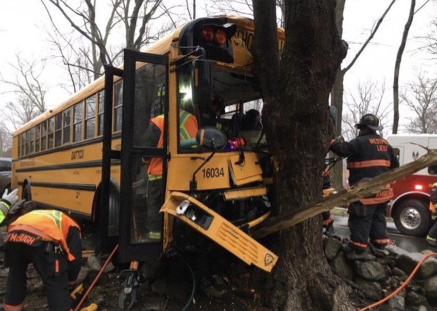 First responders attend to a bus that crashed into a tree and stone wall while carrying over 20 elementary schoolers. Several of the kids sustained minor injuries, though none had to be hospitalized. The driver was injured and taken to Norwalk Hospital by EMS.