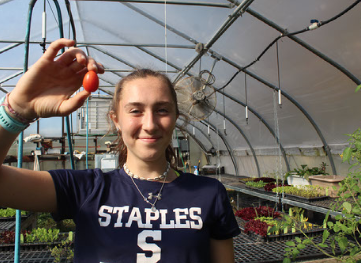 After her summer vacations and plans were cancelled, Eva Fitch 21 found a new profound hobby and love for volunteering at the Westport Farmers Market. 