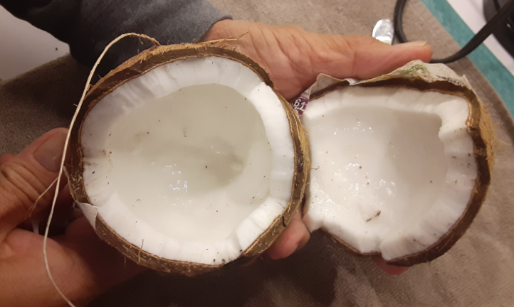Coconuts are my favorite fruit to both eat and make a drink out of. Not only are they delicious, but they have also been shown to offer various health benefits, including improvements in heart health, digestion, weight loss, brain health, blood sugar levels and immunity.