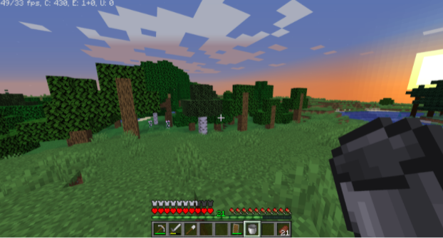 Many players play the base form of minecraft and enjoy the endless possibilities in a naturally generated world. For others, the game becomes completely customizable with add-ons that create new dimensions within the game, or allow you to make all of the animals 100 blocks tall or just a few pixels big.