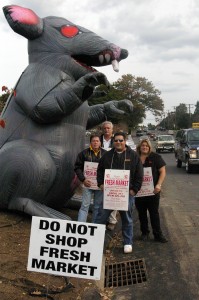 Protestors set up a large inflatable rat, "Larry," outside of The Fresh Market. | Photo by Brittany Healy '13