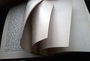 Intentionally blank pages at the end of a book.