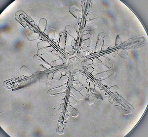 Snowflake. Small microscope kept outdoors. Sna...