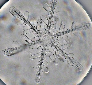 Snowflake. Small microscope kept outdoors. Sna... Snowflake. Small microscope kept outdoors. Sna...