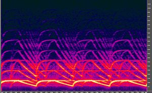 Spectrogram of a police siren. Screencap by us...