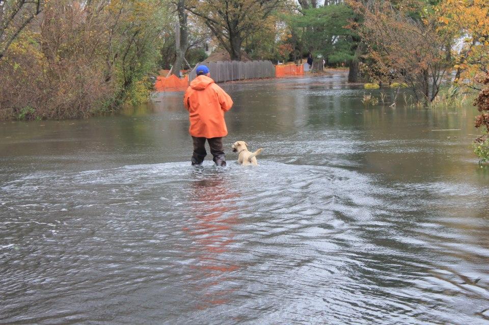 A man and his dog walking to the Saugatuck Harbor Yacht Club to secure the boats
