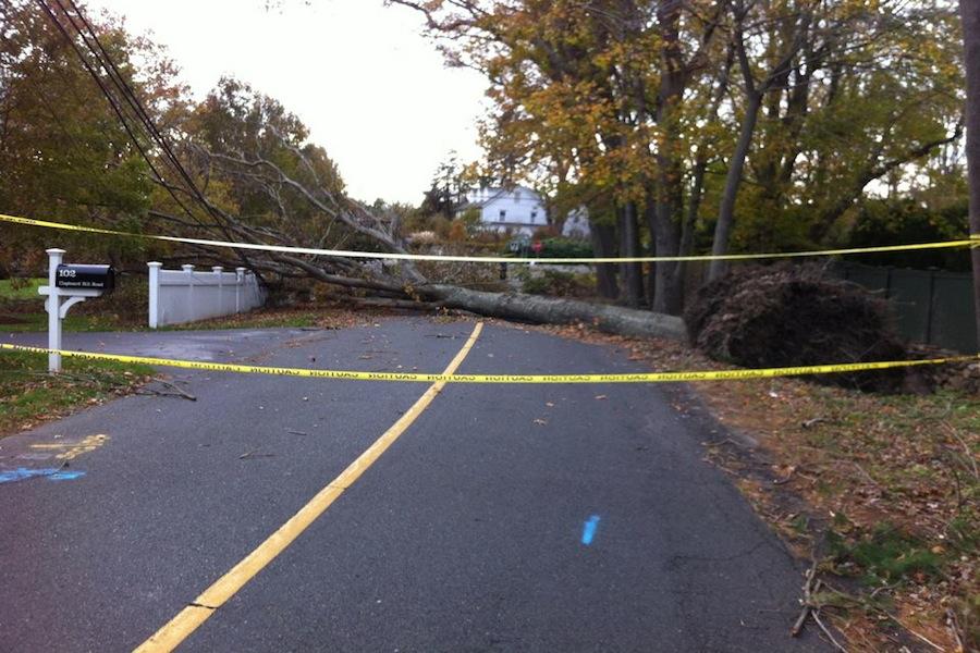 Hurricane Sandy knocked over many trees in Westport such as this on.