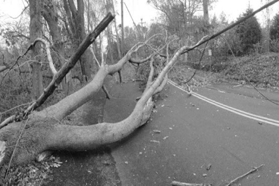 Hurricane+Sandy+left+long-lasting+effects.+Power+outages+and+tree+damage+presented+challenges+in+the+wake+of+the+storm.++