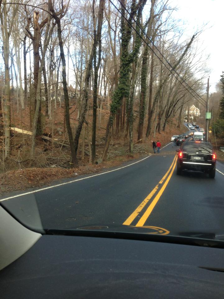 On Bayberry Lane, people moved branches to make the road accessible to cars.