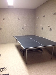 A ping-pong table gathers dust, while the shower heads begin to rust.