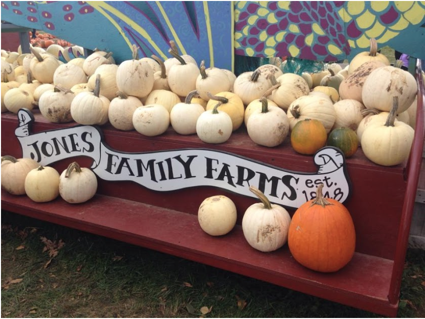 Best Buddies picks prize pumpkins