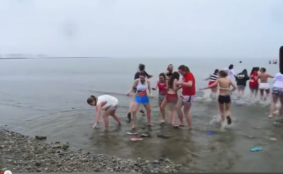 Fairfield County dives into charity for Penguin Plunge