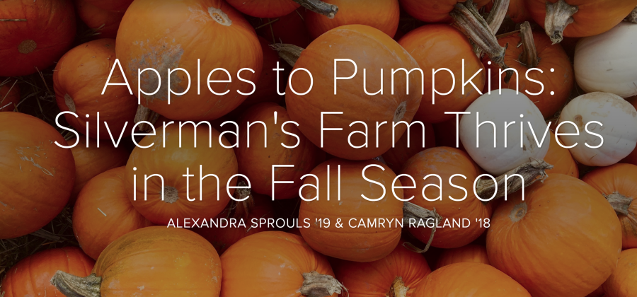 Apples to Pumpkins: Silvermans Farm Thrives in the Fall Season