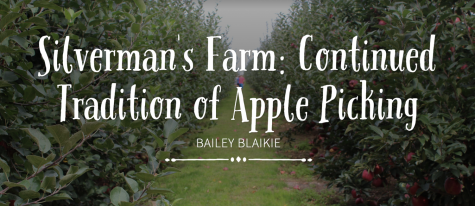 Silvermans Farm: The Continued Tradition of Apple Picking