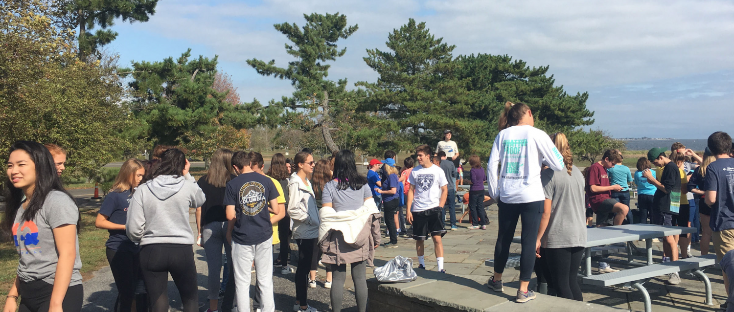A.P. Environmental students work with the Connecticut Fund for the Environment at Sherwood Island State Park