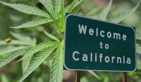 Legalization of marijuana in California podcast