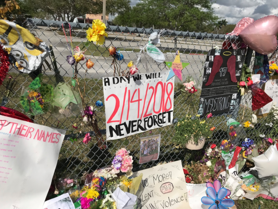 Parkland victims relentlessly pursue change