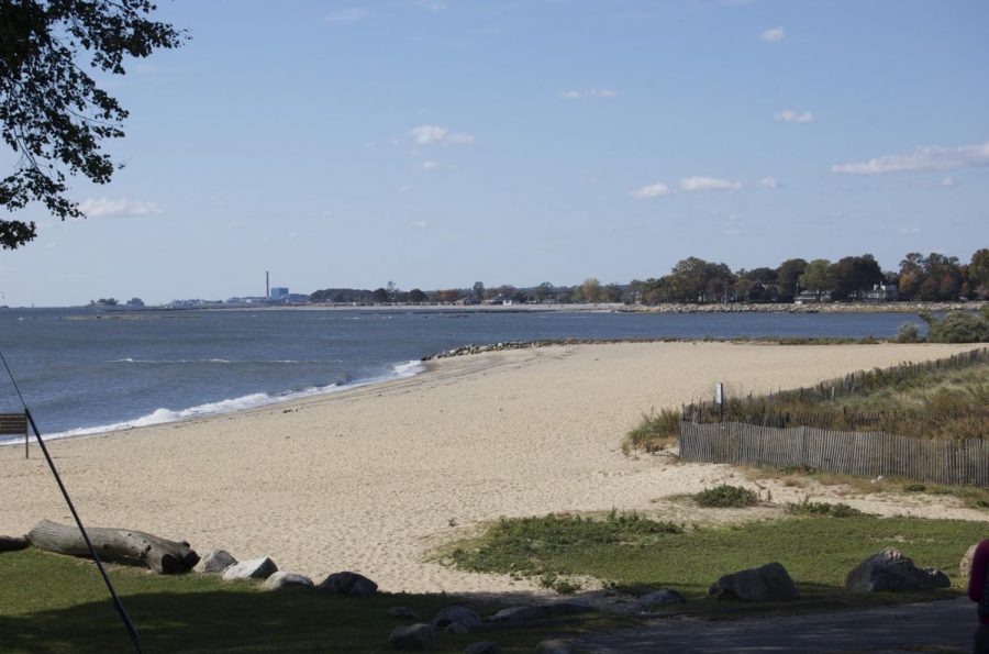 Sherwood Island State Park in Westport, Connecticut is one of many protected areas that the state legislature could sell off without public consent.