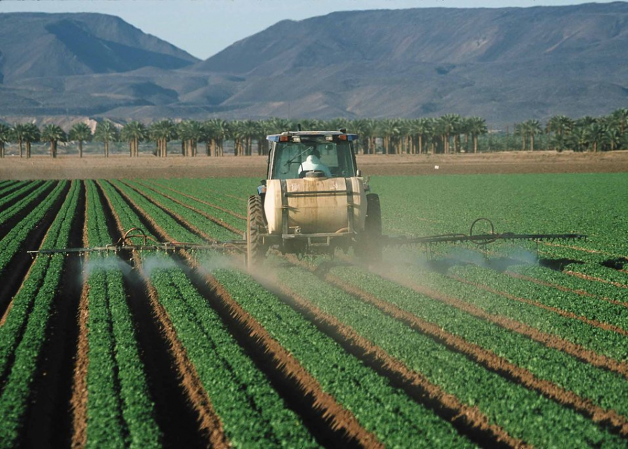 Pesticide application on leaf lettuce in Yuma.