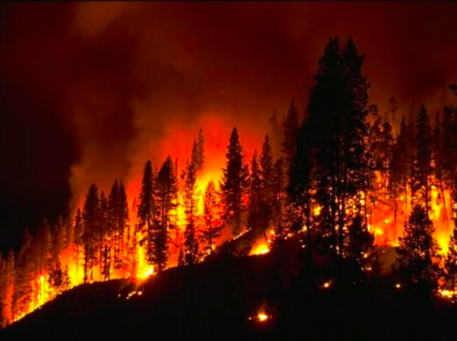 One potential effect of climate change is more frequent wildfires.
Photo contributed by Science360 News Service.