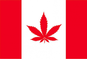 Legalizing marijuana in Canada will transform Staples