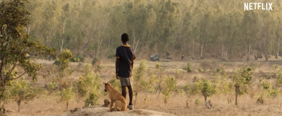 William Kamkwamba (Maxwell Simba) and his dog, Shamba watch as the government kills trees in exchange for a small sum of money for the town. 
