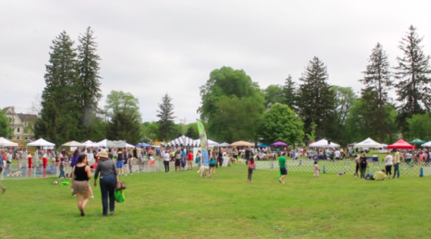 The Westport Dog festival was held saturday May 19th for the fourth time, bringing hundreds of vendors, Westporters and their dogs to enjoy to event. 