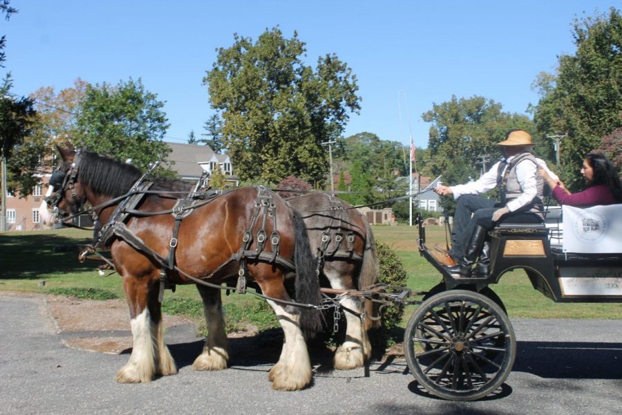 A horse carriage arrives at the Westport Historical Society for the Family Creep Fest, which offers families hayrides throughout downtown. Photo by Anastasia Thumser 22.