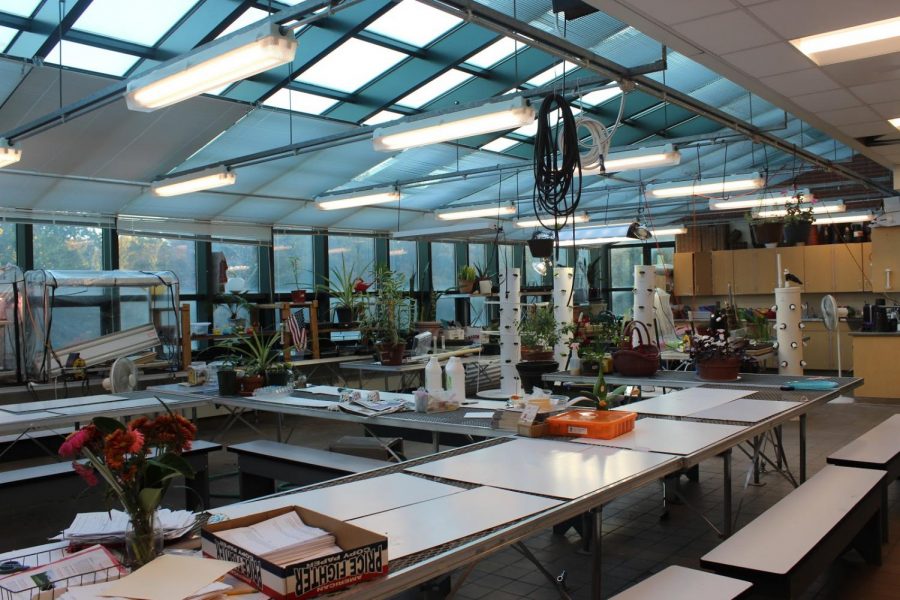 The Horticulture classroom offers students countless resources to enhance their planting experience while learning in an engaging and unique environment.