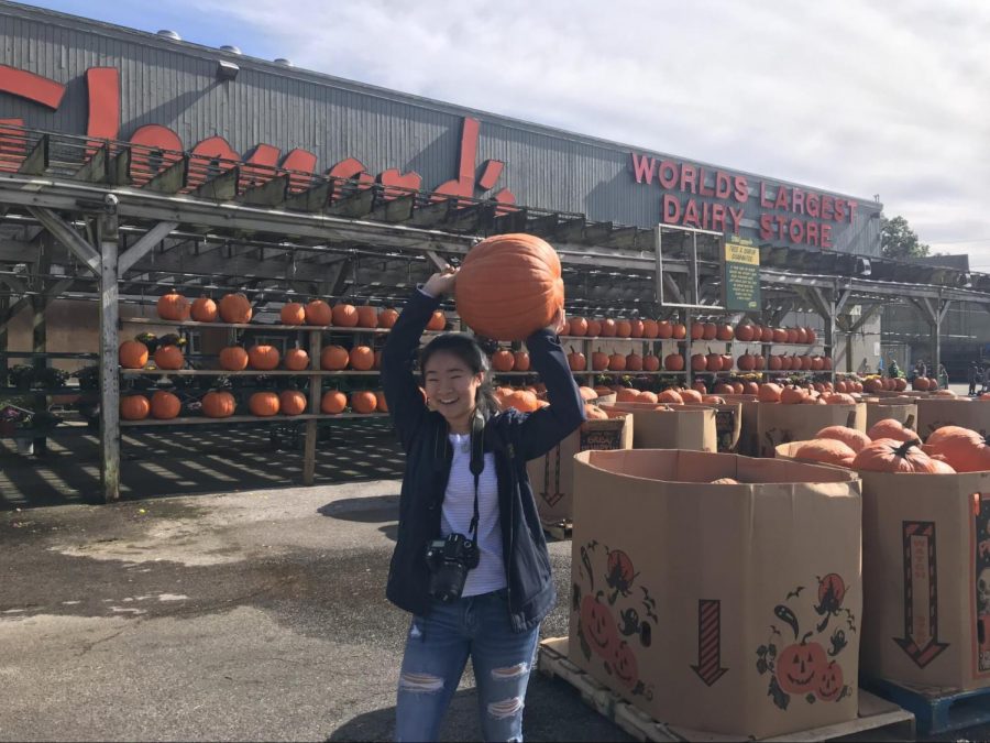 The Fall Festival showcased Stew Leonard’s fresh assortment of pumpkins in their pumpkin-painting activities and seasonal pumpkin ice cream.