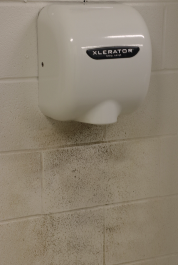 Despite tireless work by the custodial staff, the girls' bathrooms remain an area of concern regarding how they are disrespected by students. 