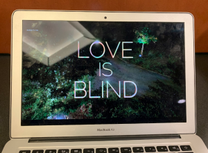 “Love is Blind” released in early Feb on Netflix as part of a three-week event. Episodes would be released periodically until the finale on Feb 27. 