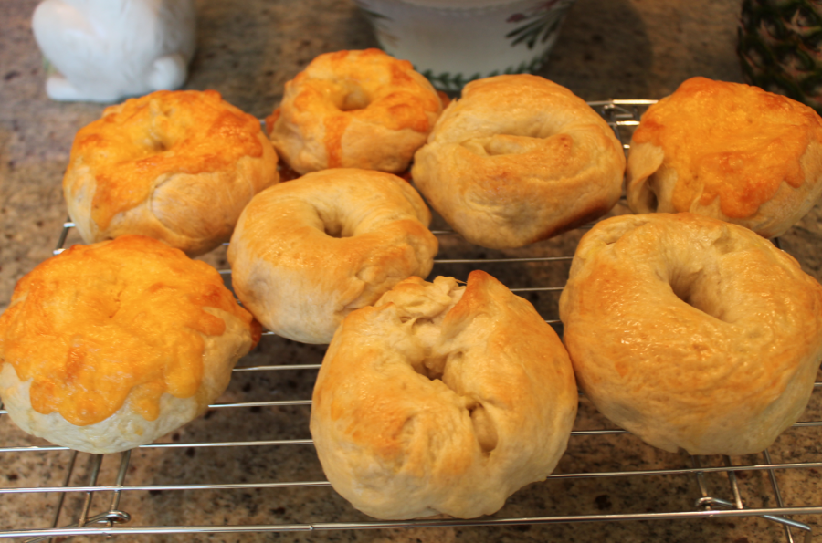 Homemade bagels serve as fun activity during quarantine