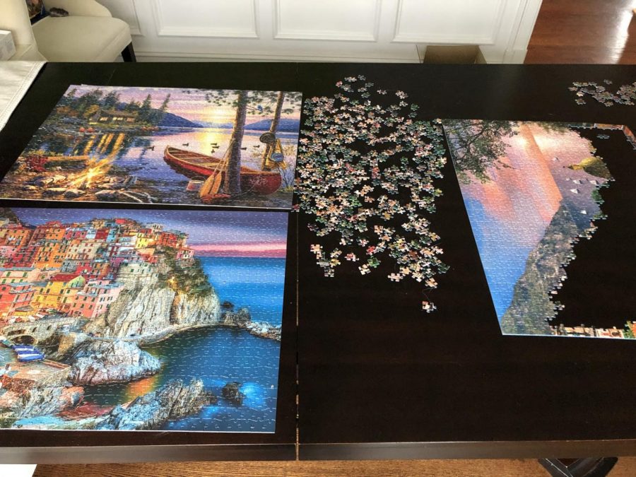 Many families have been making puzzles to pass the time while school is out.