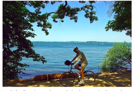 A masked cyclist enjoys an afternoon during the quarantine (image taken from the Internet and labeled for reuse).