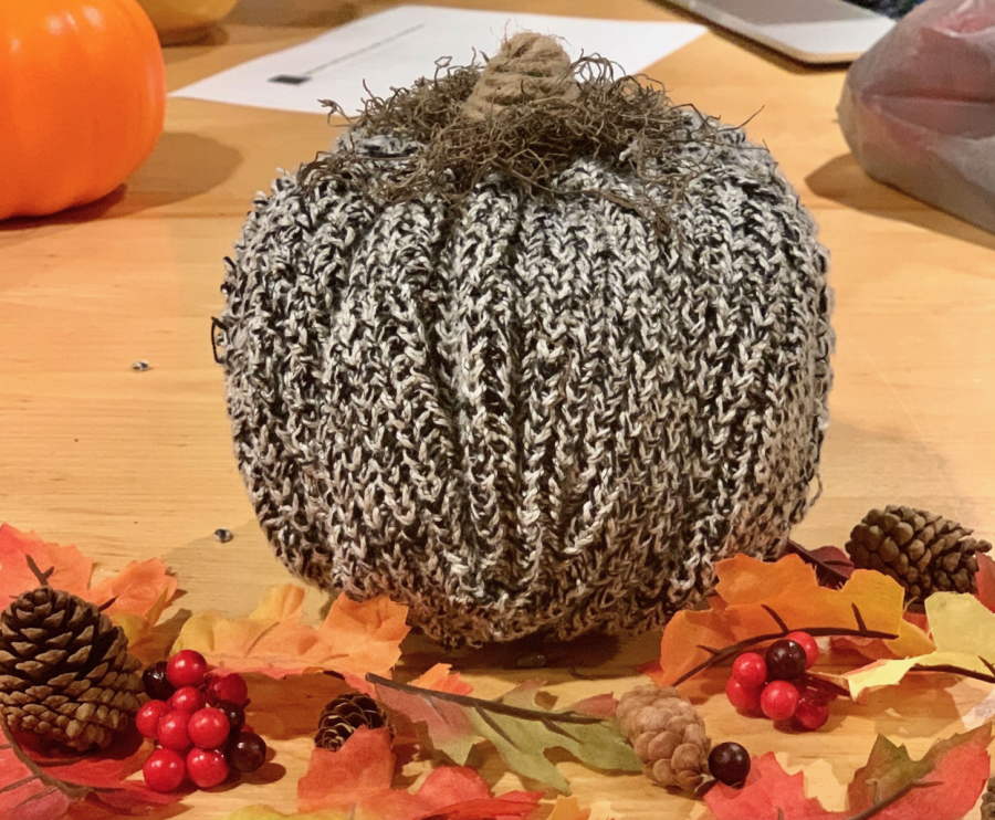 In the spirit of fall, this homemade pumpkin craft serves as a great inexpensive home decor item for individuals to make. 