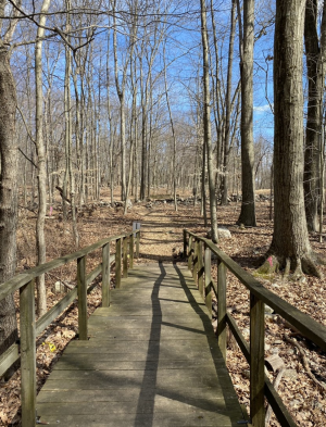Earthplace is especially enjoyable to walk through in autumn. Trees seem to glow with hues of red, yellow and orange. 
