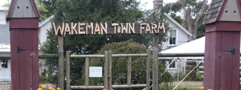 Wakeman Town Farm welcomes volunteers
