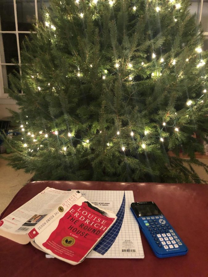 Homework assigned over the holiday break forces students to focus on school assignments rather than festive activities like decorating a Christmas tree