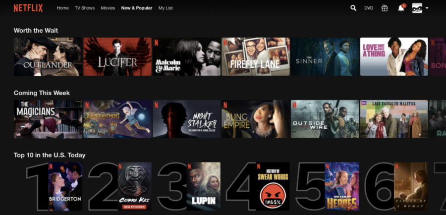 While Netflix used to be the only widely used streaming service, many new ones have been introduced within the past few years, and competition between them has continued to grow.