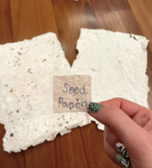 Seed paper is an environmentally friendly craft that can be easily done at home.